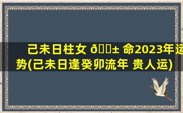 己未日柱女 🐱 命2023年运势(己未日逢癸卯流年 贵人运)